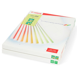 CANON Poliéster POL170 blanco opaco 100SRA3 270µm CANON Poliéster POL170 blanco opaco 100SRA3 270µm