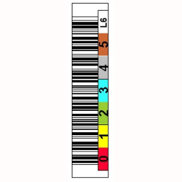 Etiqueta Ultrium LTO-6 - 6dig. Horiz/Color/QUANTUM/