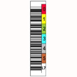 Etiqueta Ultrium LTO-7 - 6dig. Vert./Color/QUANTUM/