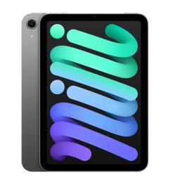 IPAD MINI 7 WI-FI 256GB SPACE GRAY