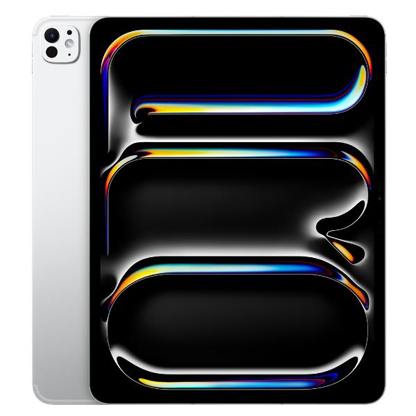 IPAD PRO 13 M4 WF CL 2TB SILVER