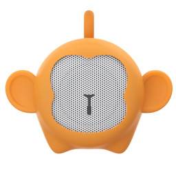 ALTAVOZ WIRELESS MONO