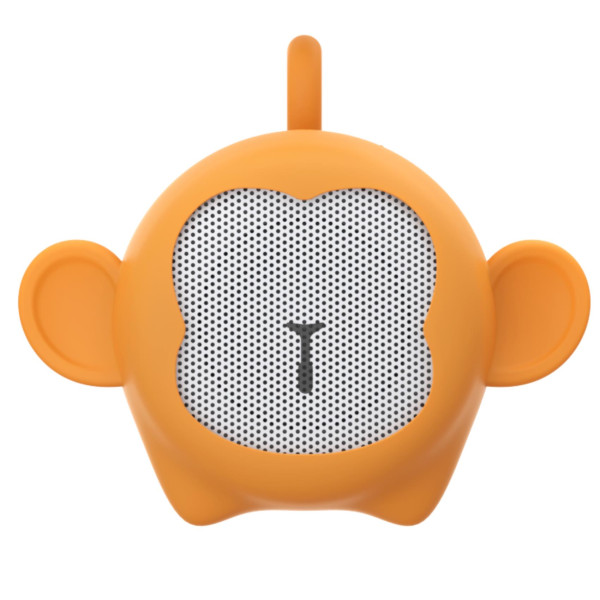 ALTAVOZ WIRELESS MONO
