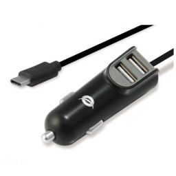 CARDEN 2-PORT 15.5W USB