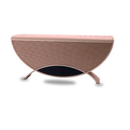 APOLLYON WIRELESS  SPEAKER