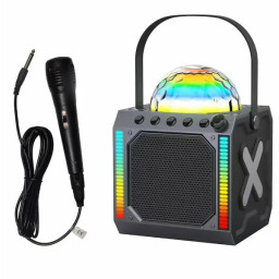 BLUETOOTH PARTY SPEAKER