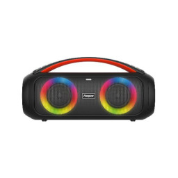 PARTY SPEAKER 6600 USB-C
