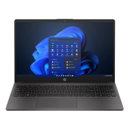 250 G10 I3-1315U 8/256 W11P