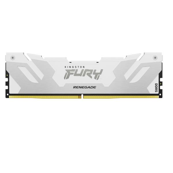 16GB 6400 DDR5 DIMM RENEGAD WH XMP