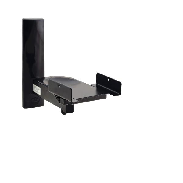 DOLEV-MOUNT