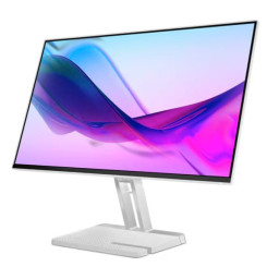 MONITOR LENOVO L24I-4A