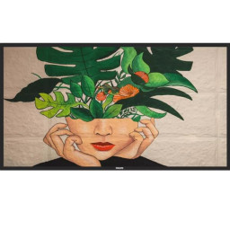 MONITOR 43 SERIE D-LINE