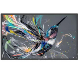 MONITOR 50 SERIE Q-LINE