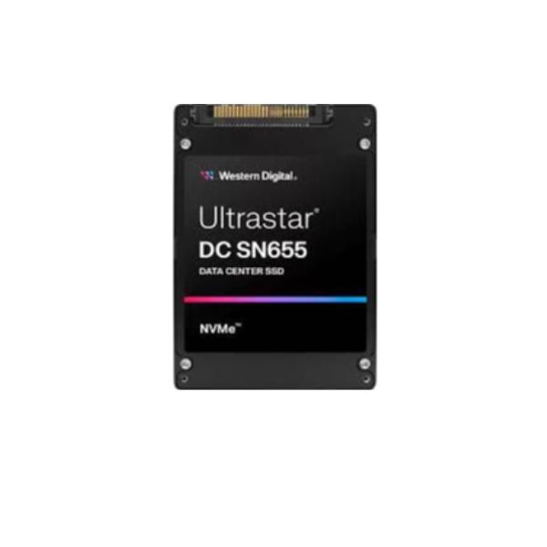 WD SSD 3.84TB 0TS2461