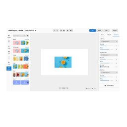 VXT 1 YEAR STANDARD PRO SERVICE CMS