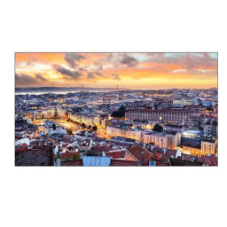 VH55B-E VIDEOWALL 55  24/7 700 NITS