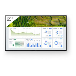 65 PRO BRAVIA LCD 440NIT