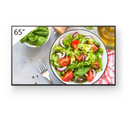 65 PRO BRAVIA LCD 550NIT