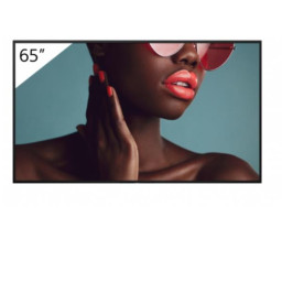 65 PRO BRAVIA LCD 700NIT HAZE