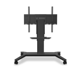 CARRO VB-STND-003