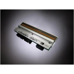 TESTINA ZM600 300 DPI (12 DOT)